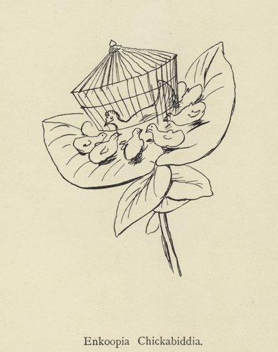 Enkoopia Chickabiddia by Edward Lear